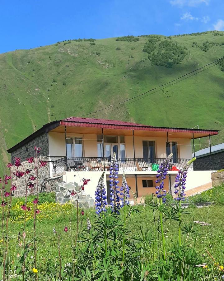Cozy Hotel Kazbegi Exteriér fotografie