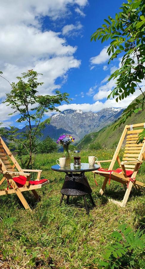 Cozy Hotel Kazbegi Exteriér fotografie
